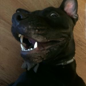 Meet your Posher, Jose